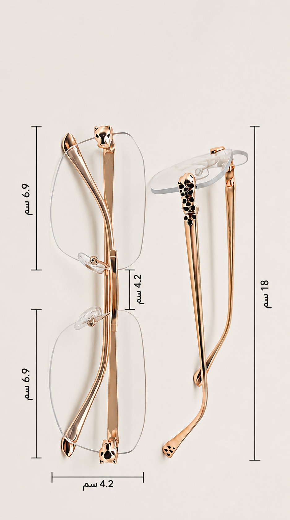 Chita Sunglasses  | Buy 1 Get 1 Free!