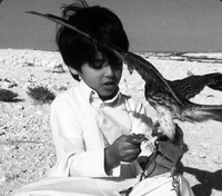 حميد - دبي